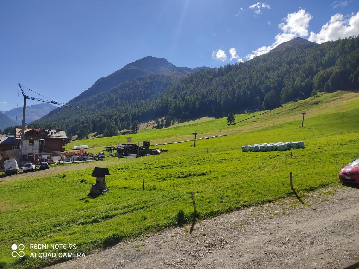 Fior D'Alpe Apartment Livigno Zewnętrze zdjęcie