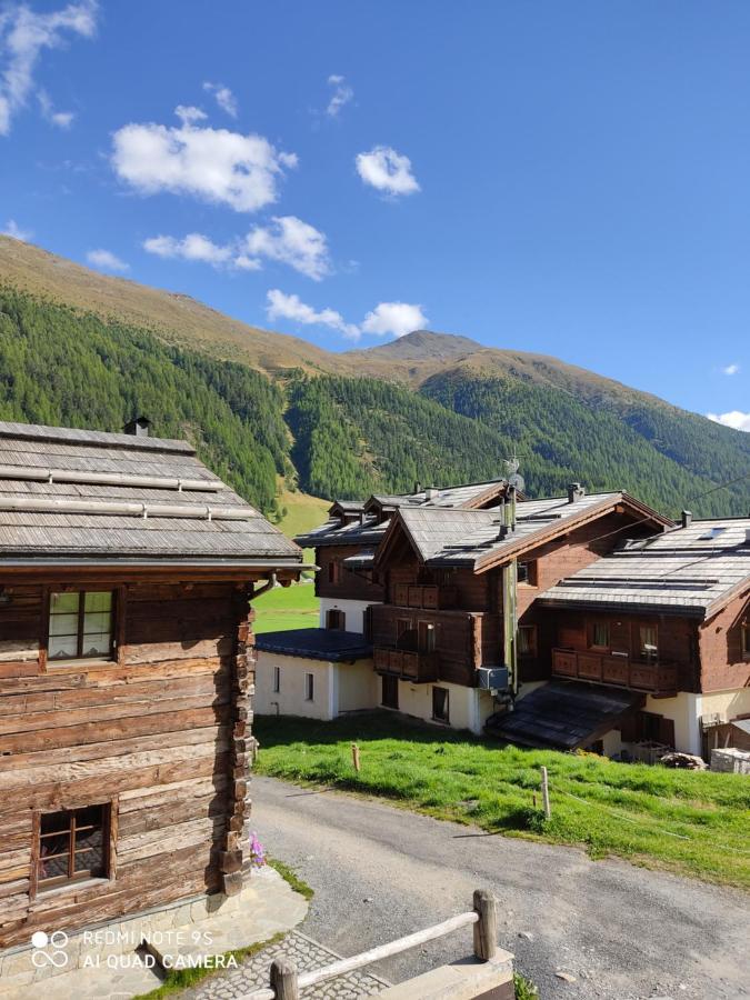 Fior D'Alpe Apartment Livigno Zewnętrze zdjęcie